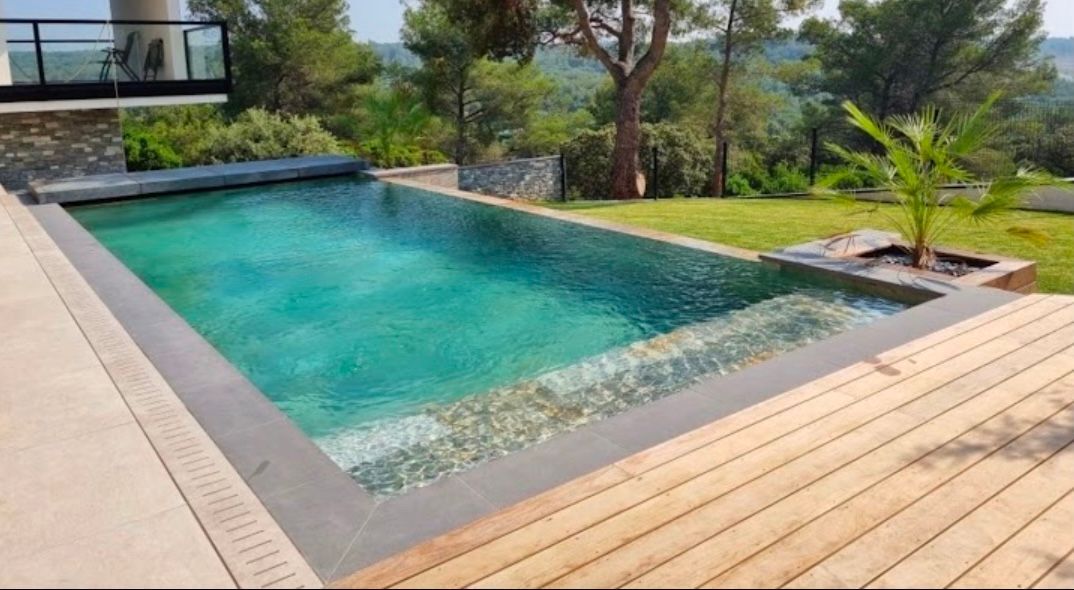 Une piscine rectangulaire entourée de verdure