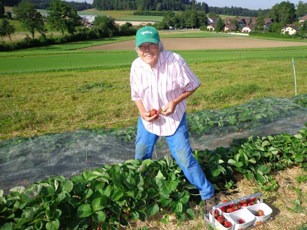 Menzi Obst- und Weinbau