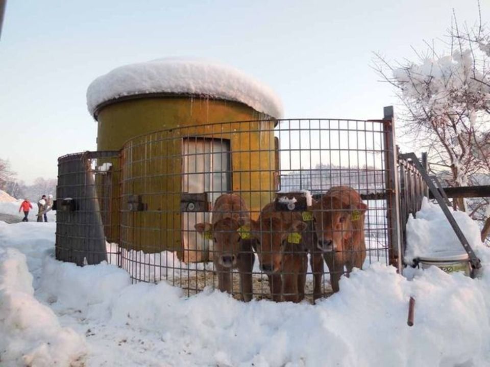 Menzi Obst- und Weinbau