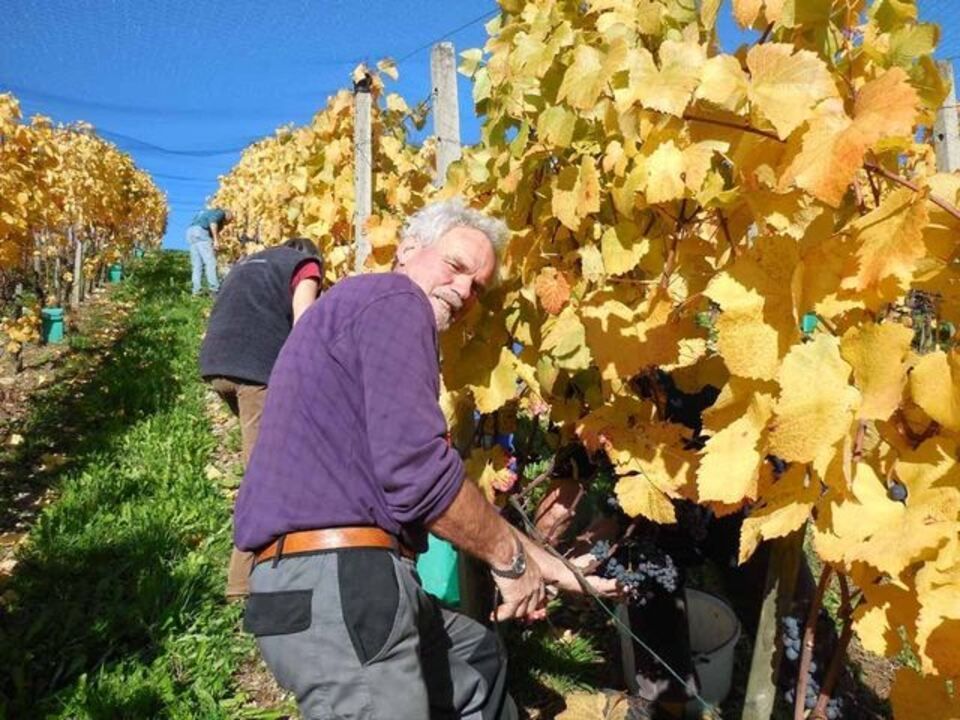 Menzi Obst- und Weinbau
