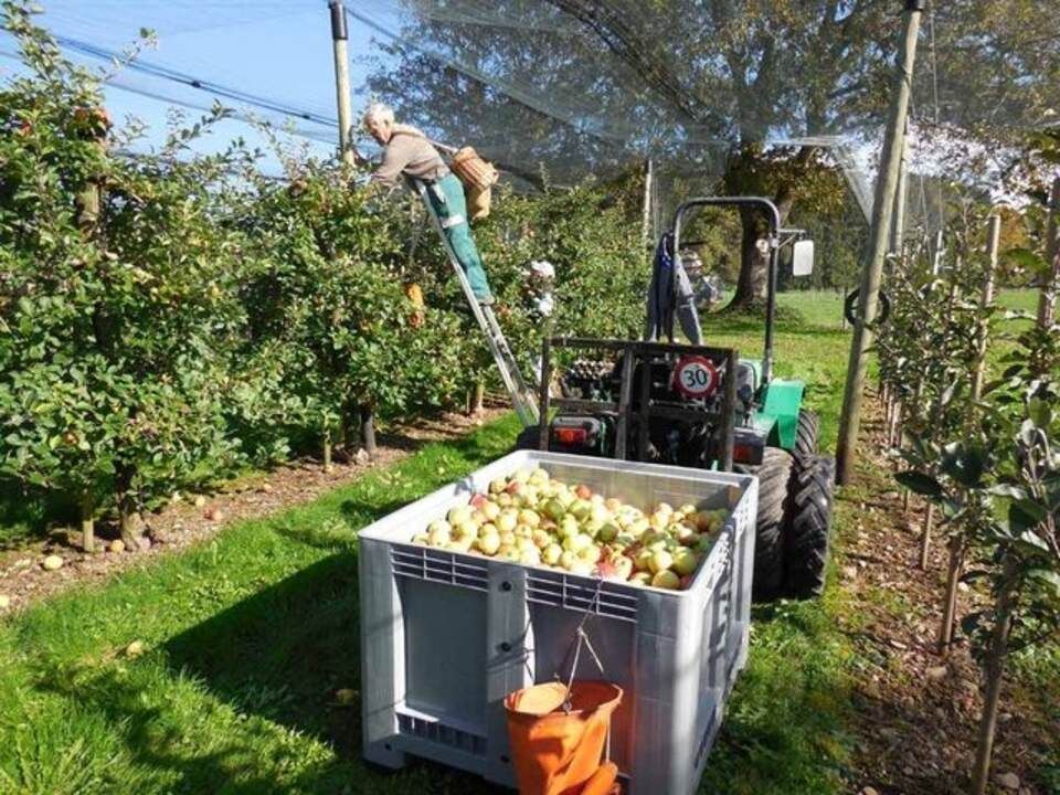 Menzi Obst- und Weinbau