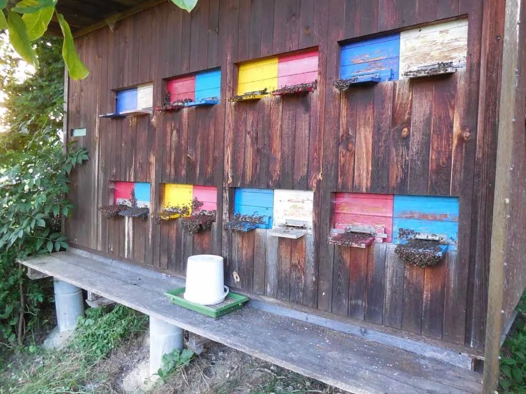 Menzi Obst- und Weinbau