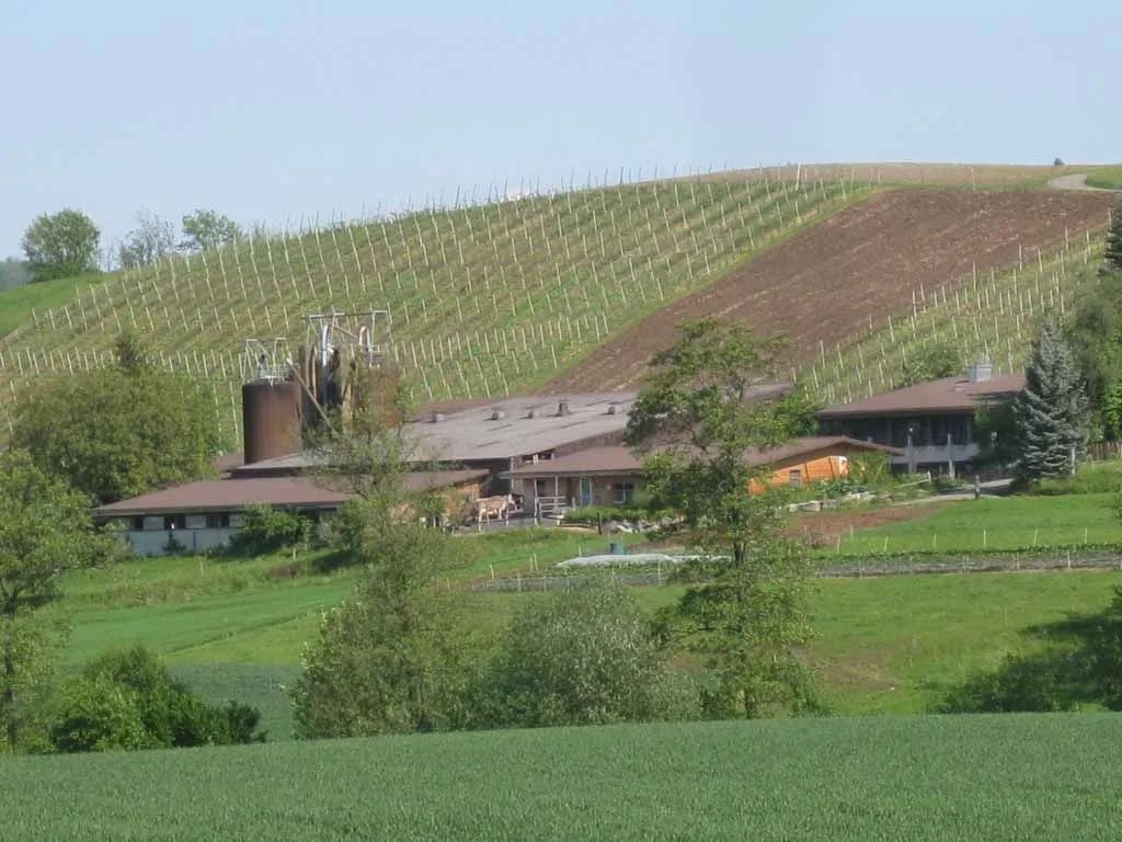 Menzi Obst- und Weinbau