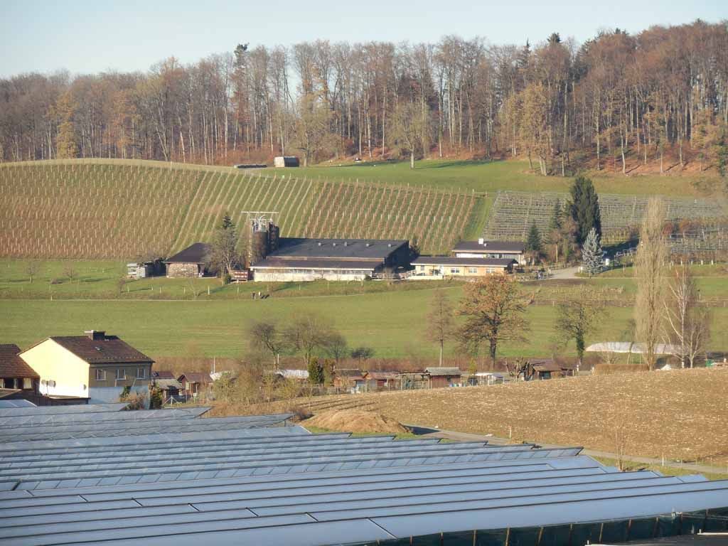 Menzi Obst- und Weinbau