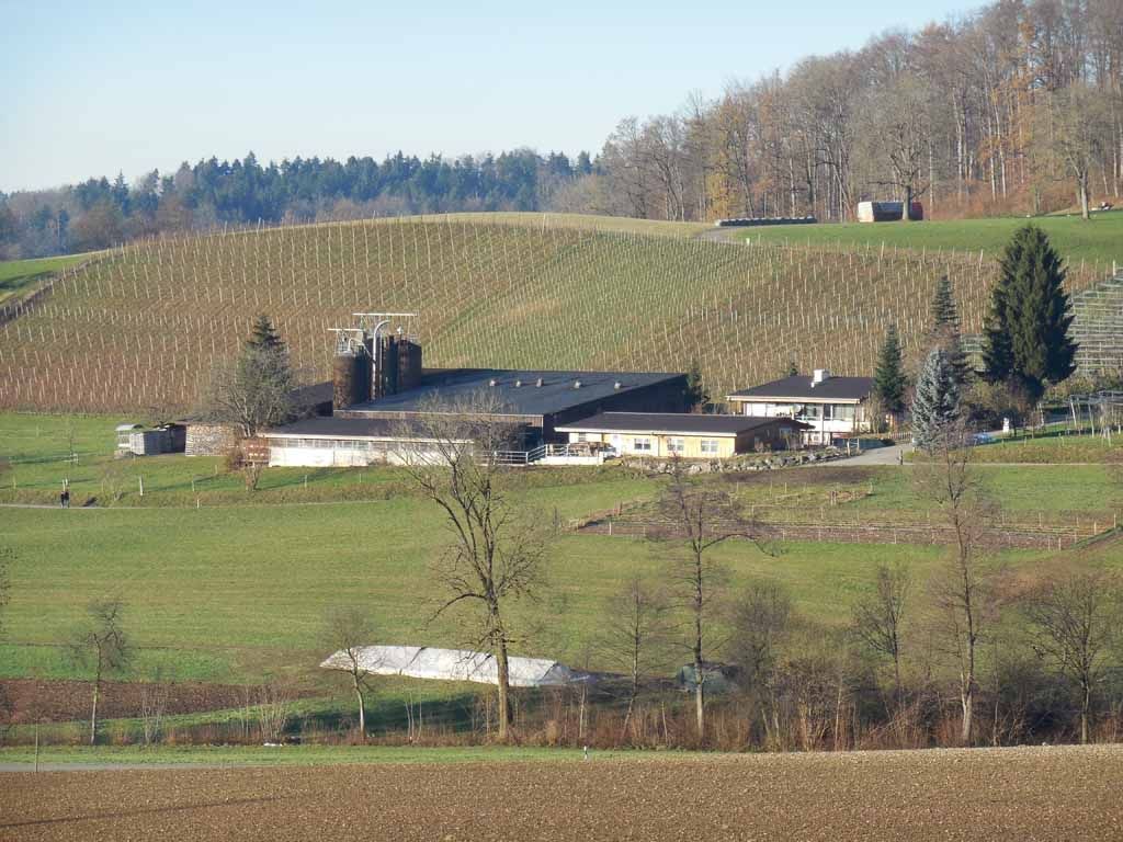 Menzi Obst- und Weinbau