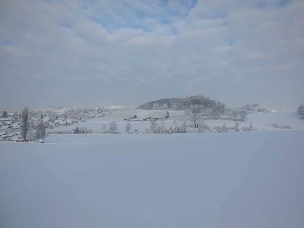 Menzi Obst- und Weinbau