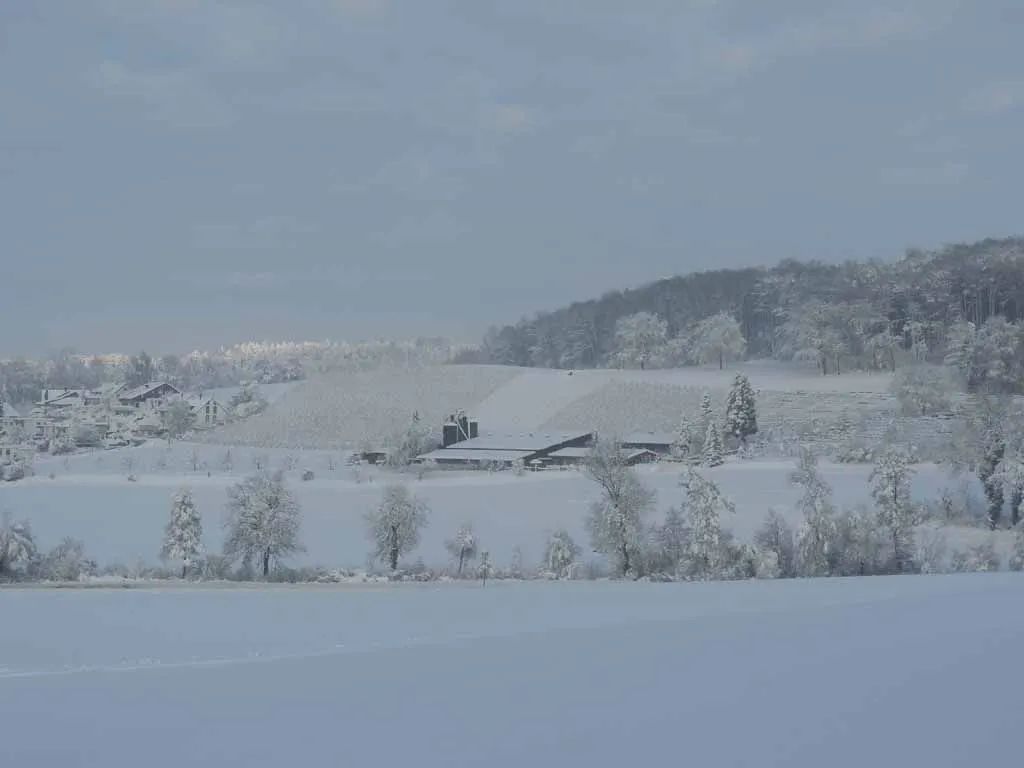 Menzi Obst- und Weinbau