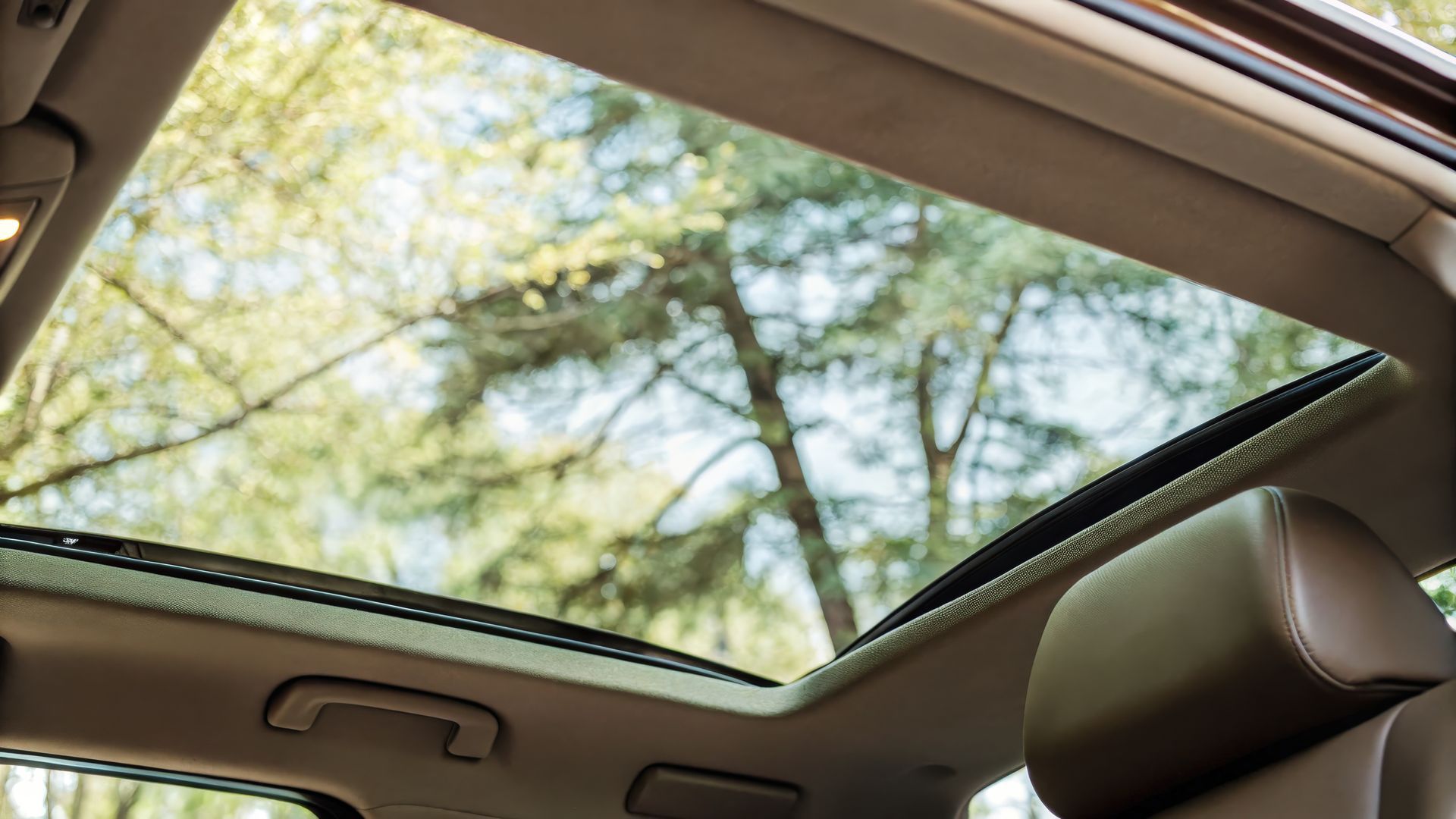 Toit ouvrant panoramique, vue sur les arbres et le ciel. Intérieur avec sièges marron.