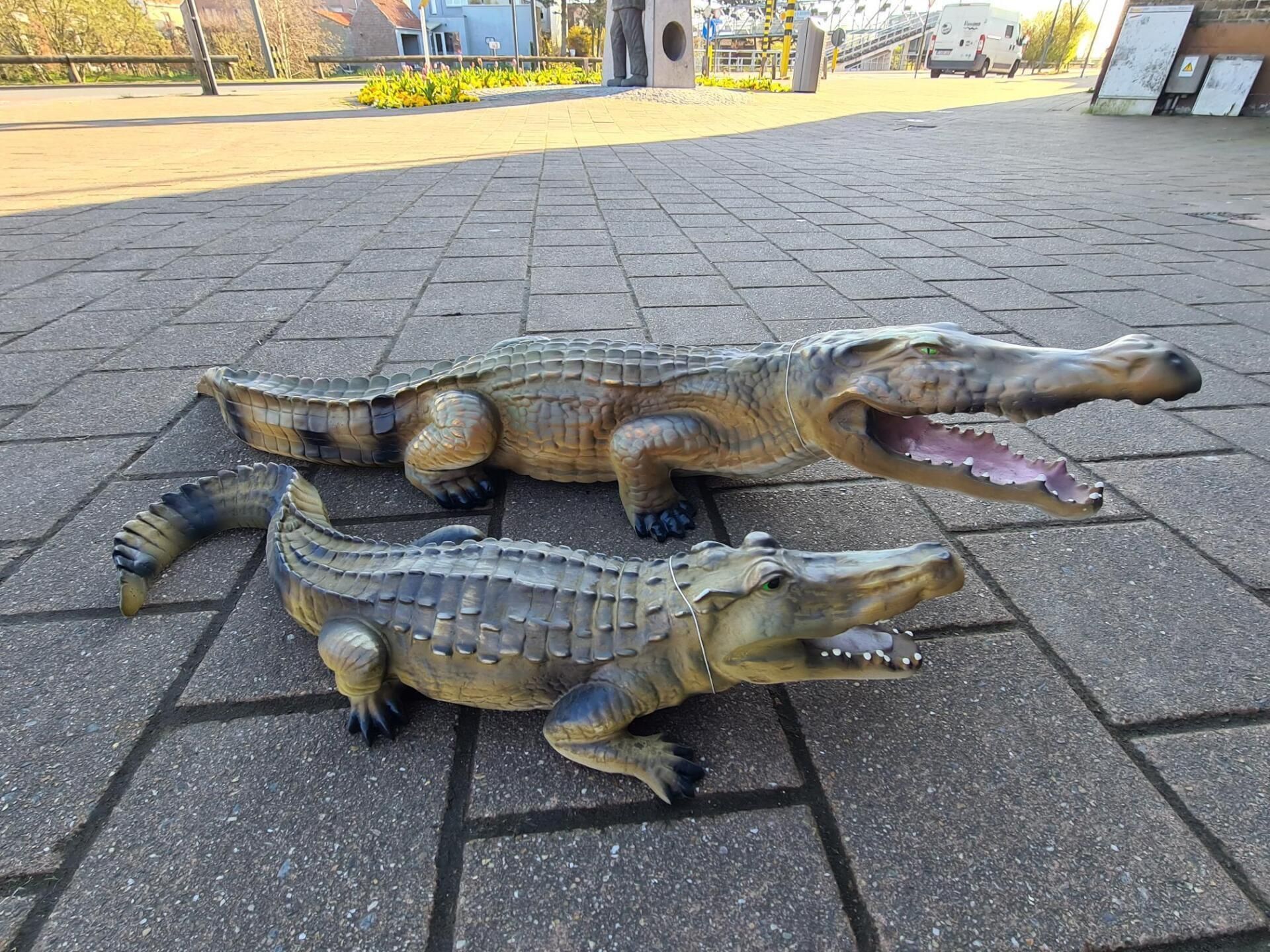 Twee speelgoedalligators op een geplaveid pad, waarvan er één zijn bek open heeft, in een zonnige buitenomgeving.