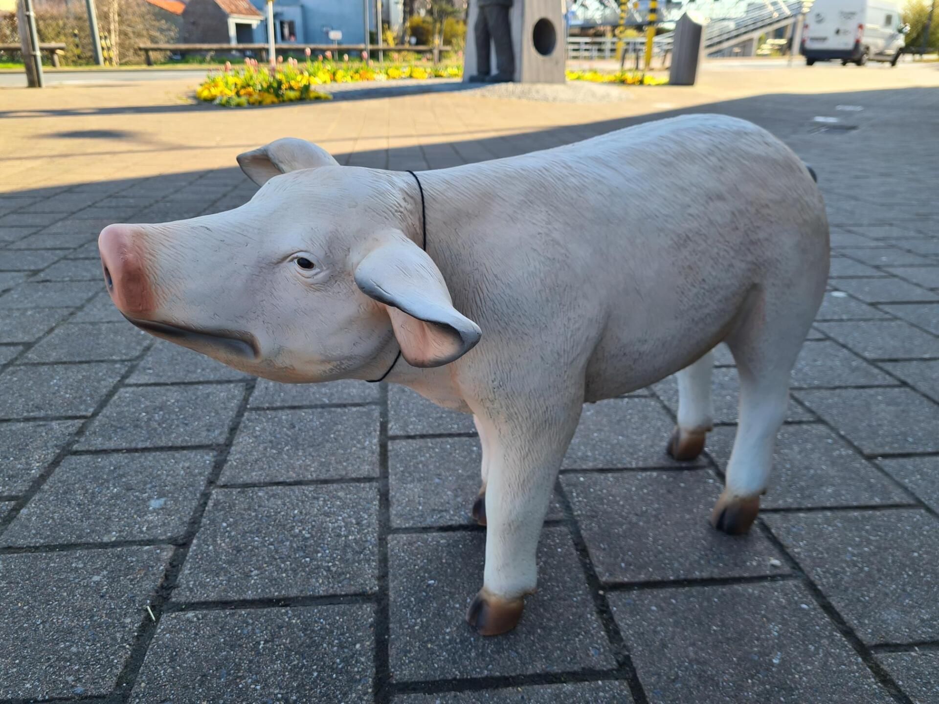 Klein wit varkensbeeldje op een geplaveid pad buiten