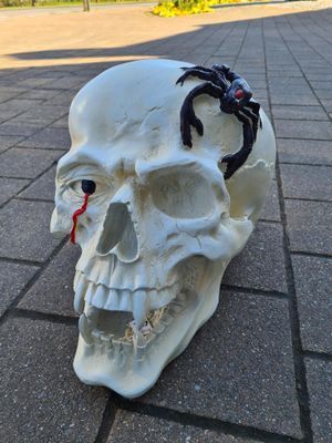 Witte schedelsculptuur met een zwarte spin erop en rode vloeistof die uit één oog druipt, buiten op de stoep.