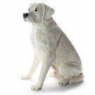 Witte hond, zittend in profiel op een effen witte achtergrond.