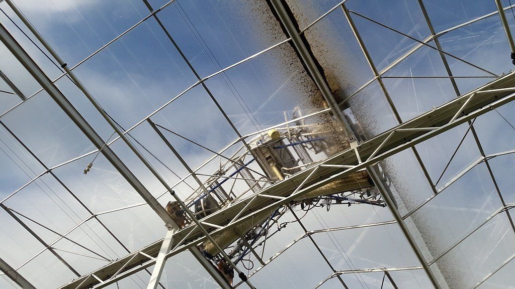 Agro - Mécanique Helfer PA - pilonneuse