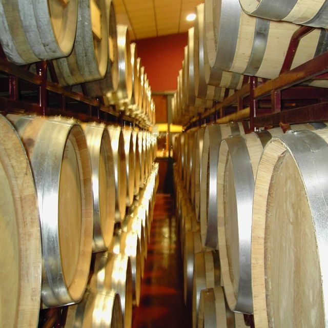 Una fila de barriles de vino están alineados en un almacén