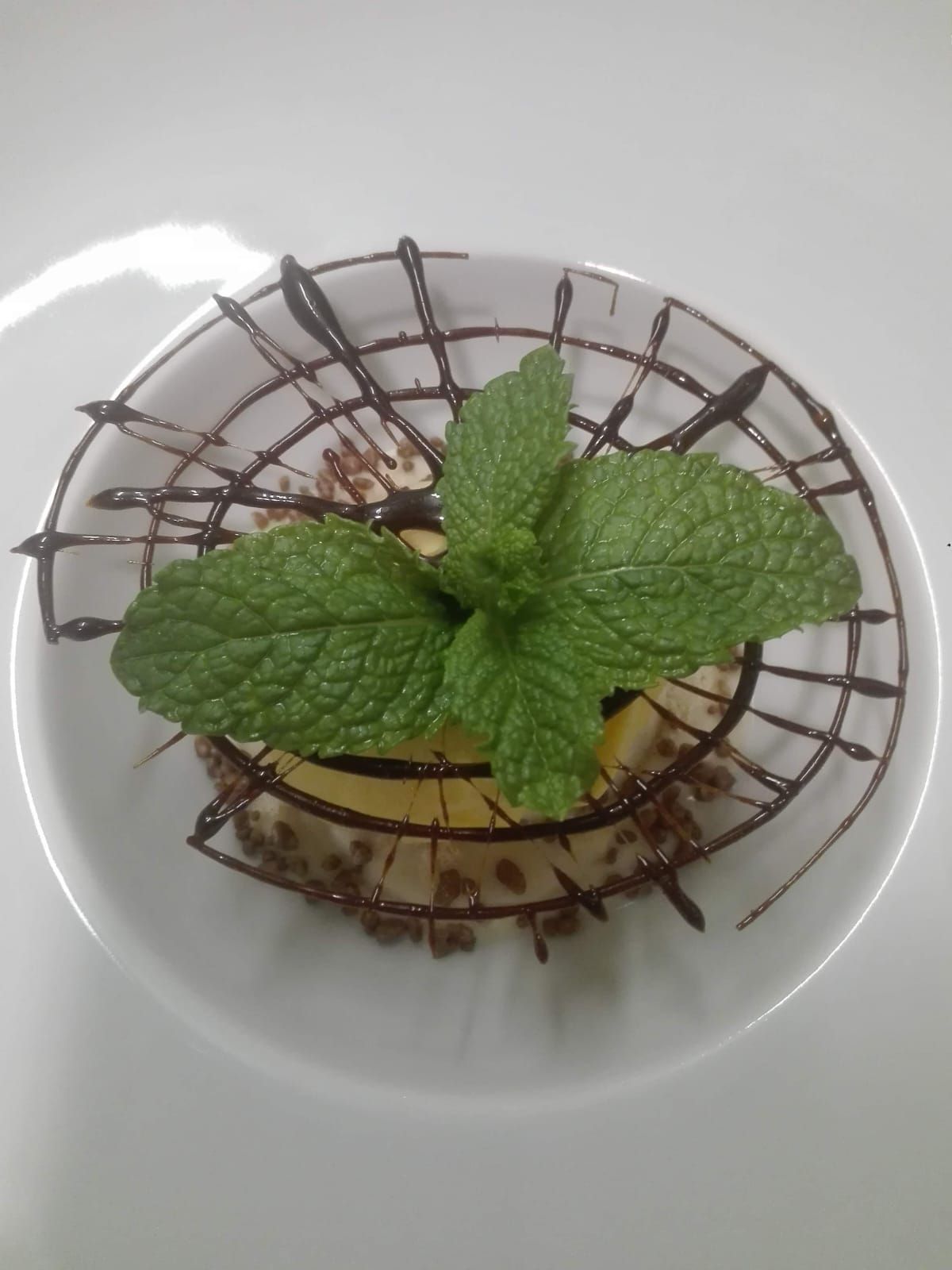 Un postre servido en un cuenco blanco, decorado con una rejilla de chocolate y hojas de menta fresca.