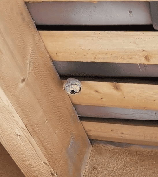 Gros plan sur des lattes en bois avec un petit luminaire rond blanc fixé entre elles.