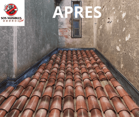 Toit avec une surface en tuiles d’argile rouge fraîchement nettoyée, entre des murs patinés, portant la mention « APRES »