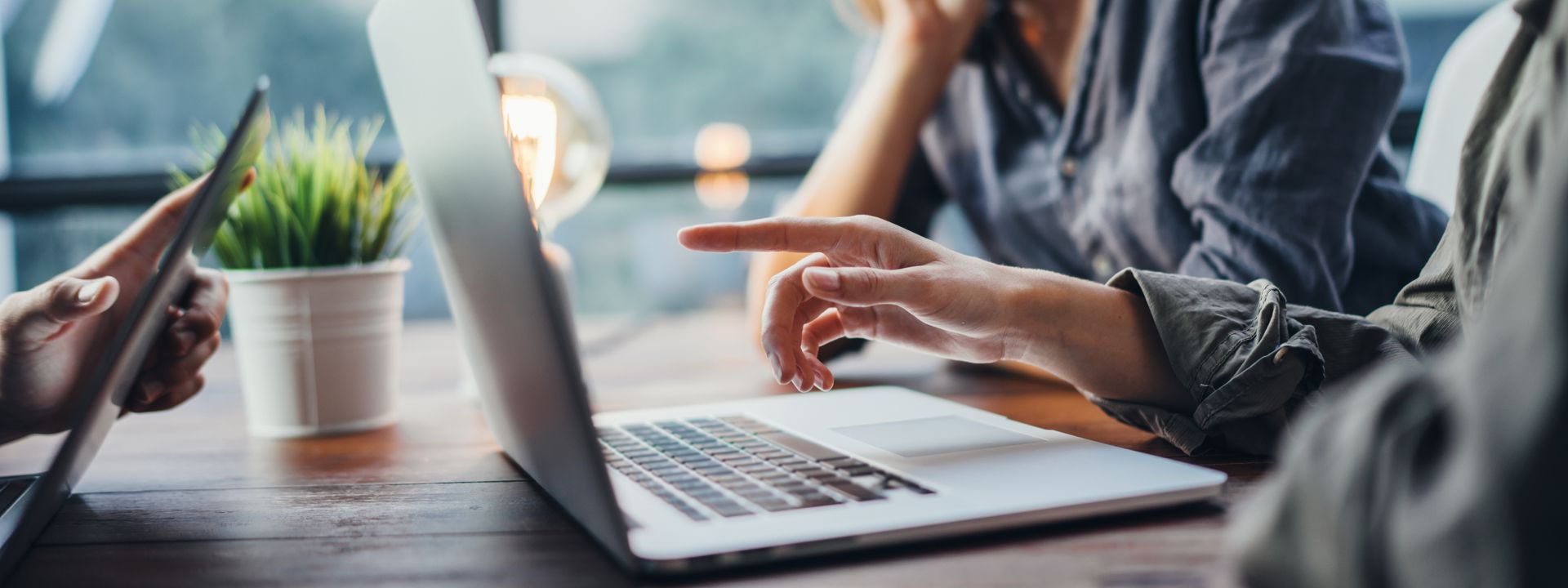 3Des personnes collaborent sur un ordinateur portable posé sur un bureau, avec une plante en pot à côté d'elles.