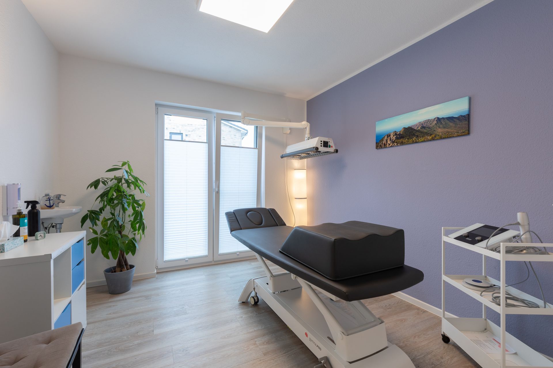 Ein Zimmer mit einem Sofa und einer Pflanze darin.