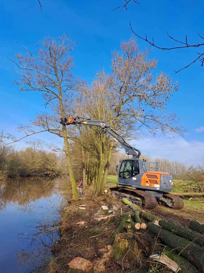 Baumfällarbeiten | Heino Müller Baggerbetrieb