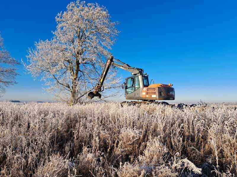 Baumfällarbeiten | Heino Müller Baggerbetrieb