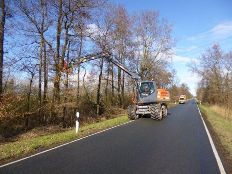 Baumfällarbeiten | Heino Müller Baggerbetrieb