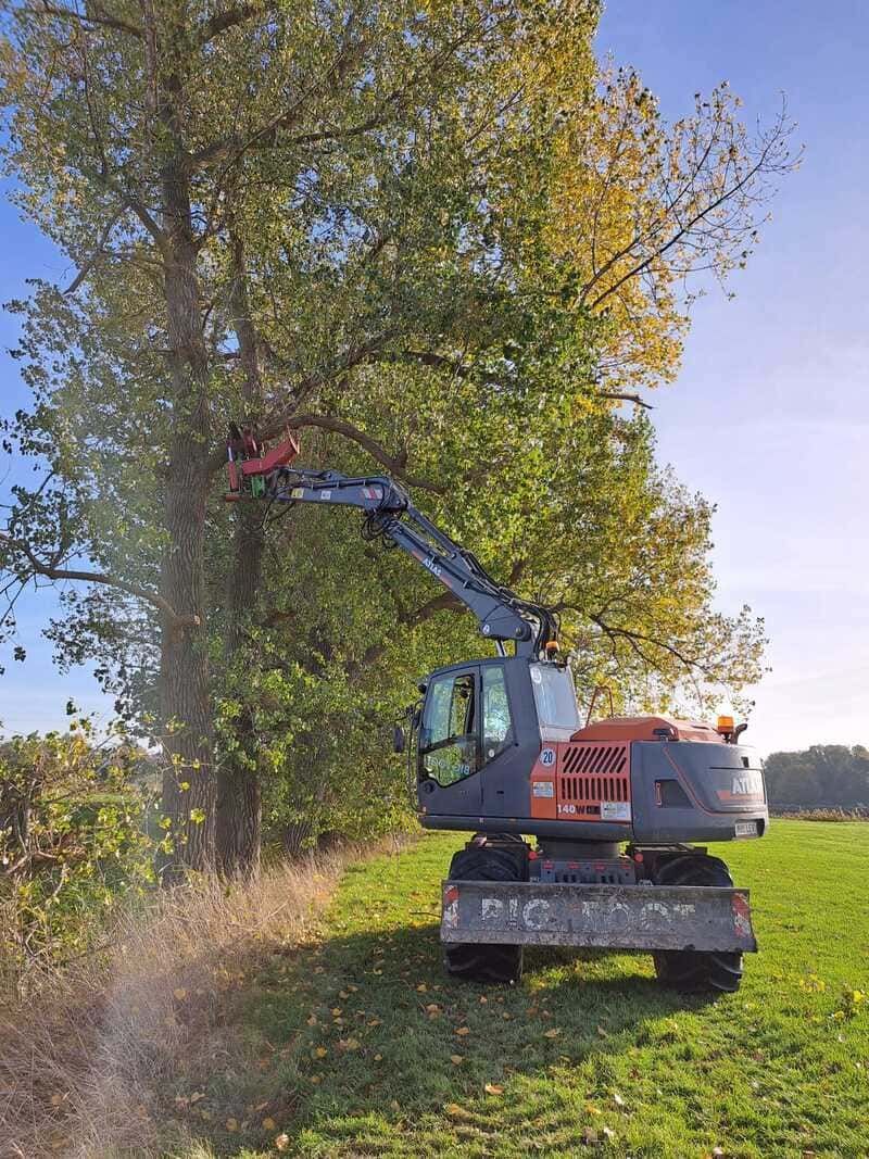 Baumfällarbeiten | Heino Müller Baggerbetrieb