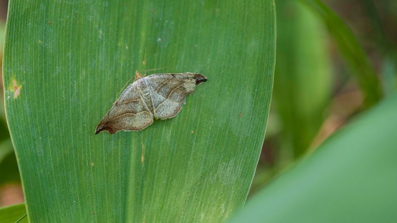 jussimurtosaarijussimurtosaari