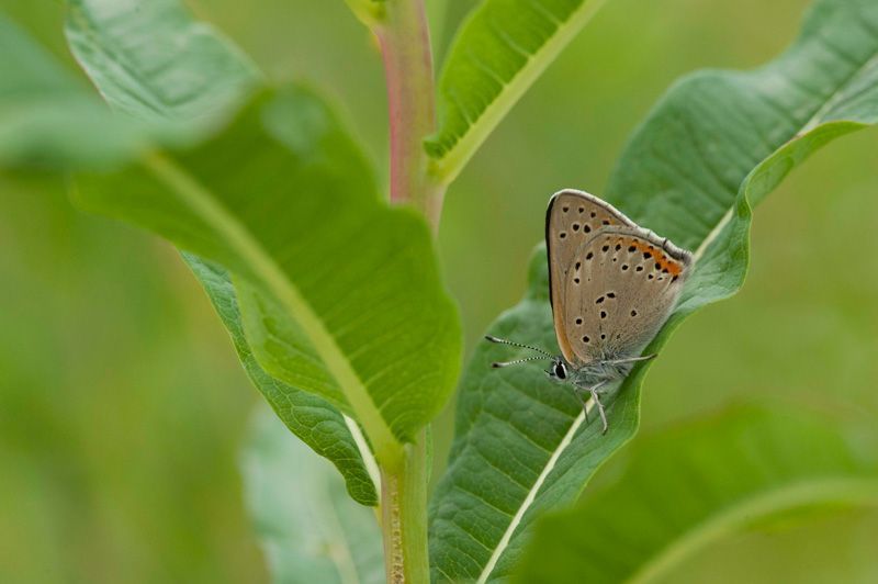 jussimurtosaarijussimurtosaari