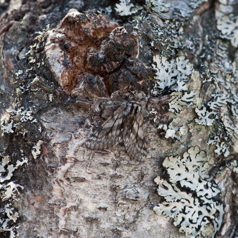 jussimurtosaarijussimurtosaari