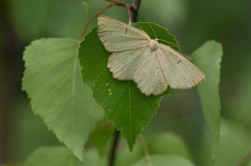 jussimurtosaarijussimurtosaari