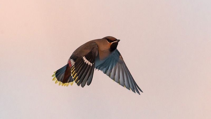 jussimurtosaarijussimurtosaari