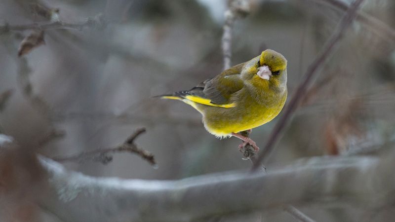 jussimurtosaarijussimurtosaari