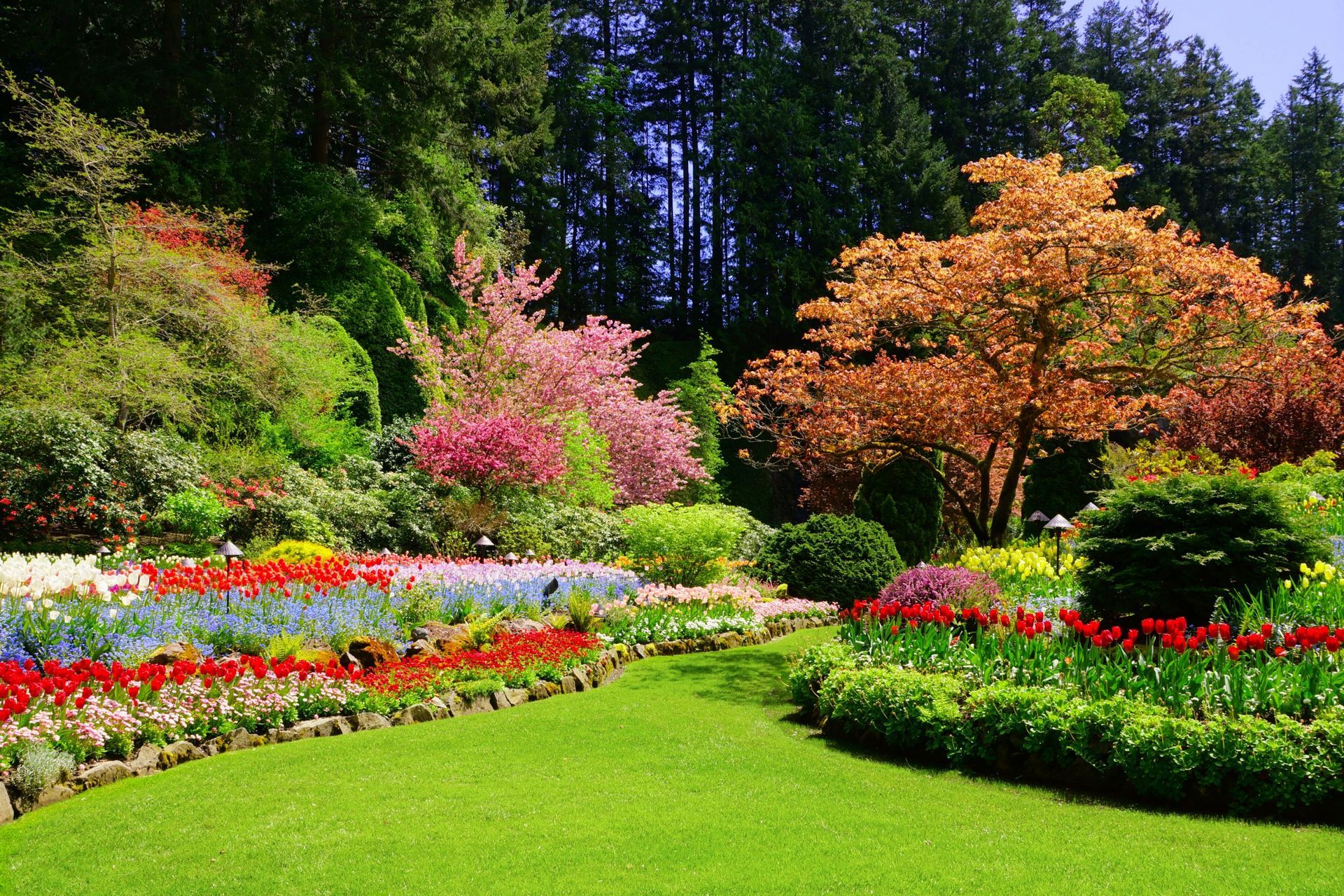 Lujoso jardín con flores de colores, sendero de césped verde y árboles.