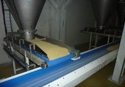 Convoyeur à bande dans une usine de transformation alimentaire. Les céréales sont distribuées depuis des trémies sur le tapis bleu.