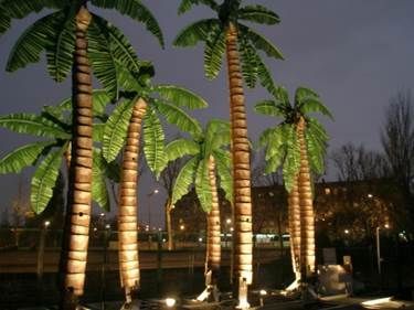 Palmiers illuminés la nuit.