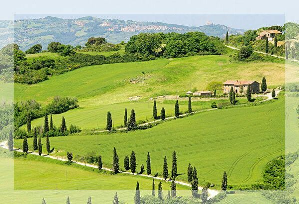 Des collines toscanes verdoyantes avec une route bordée de cyprès menant à un bâtiment en pierre sous un ciel lumineux.