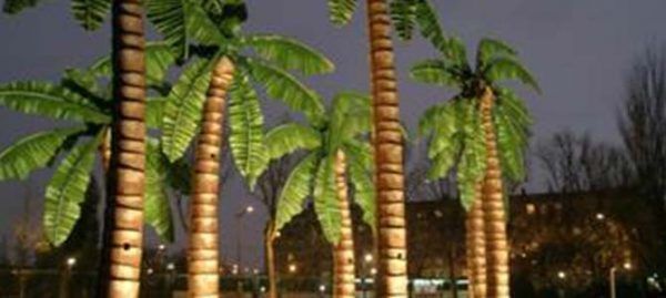 Palmiers illuminés la nuit.