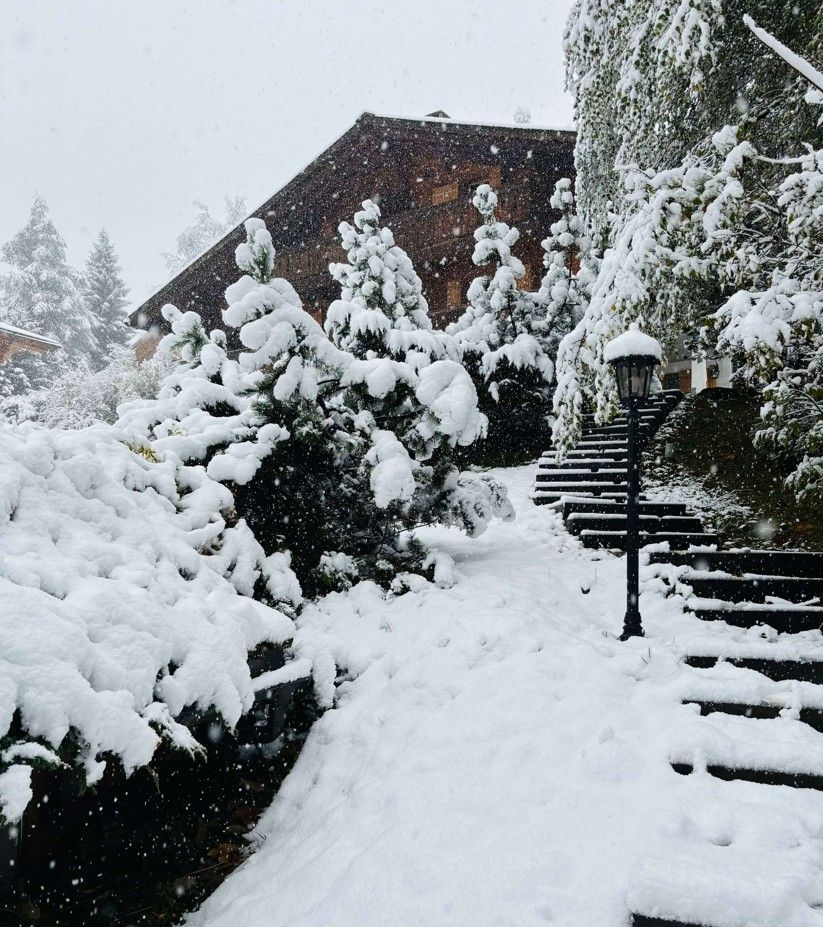 Par une journée de neige, des arbres et des marches enneigés mènent à un bâtiment au toit sombre.