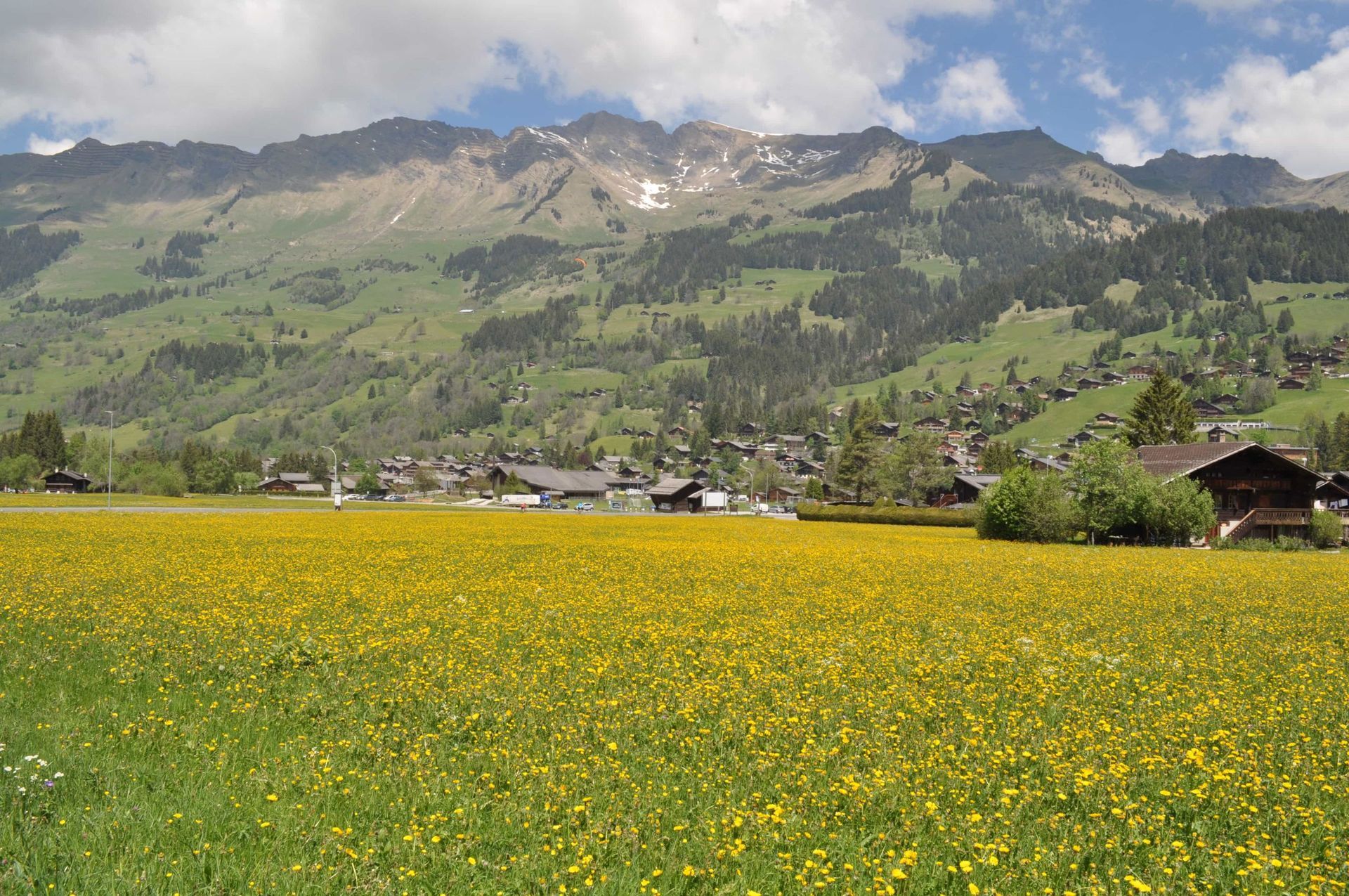 Multilocation Voirol Sàrl - Chalet Les Arbres