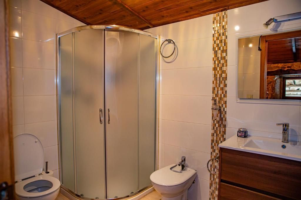 Baño con ducha de esquina de cristal, inodoro, lavabo y techo revestido de madera.