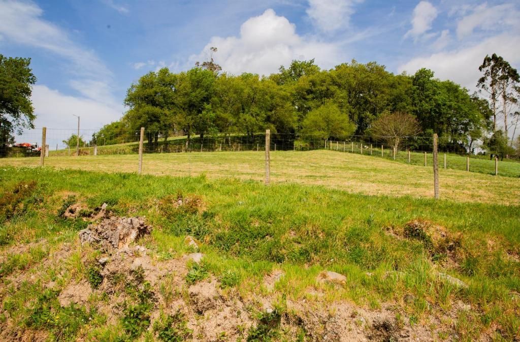Campo de hierba con valla de alambre y árboles verdes bajo un cielo azul con nubes.