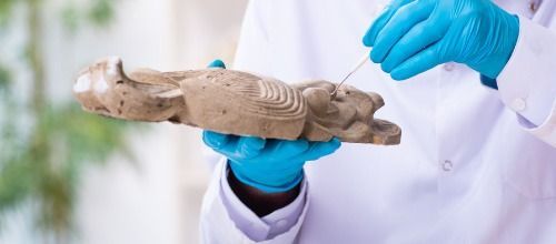 Una persona que lleva guantes azules sostiene un trozo de madera.