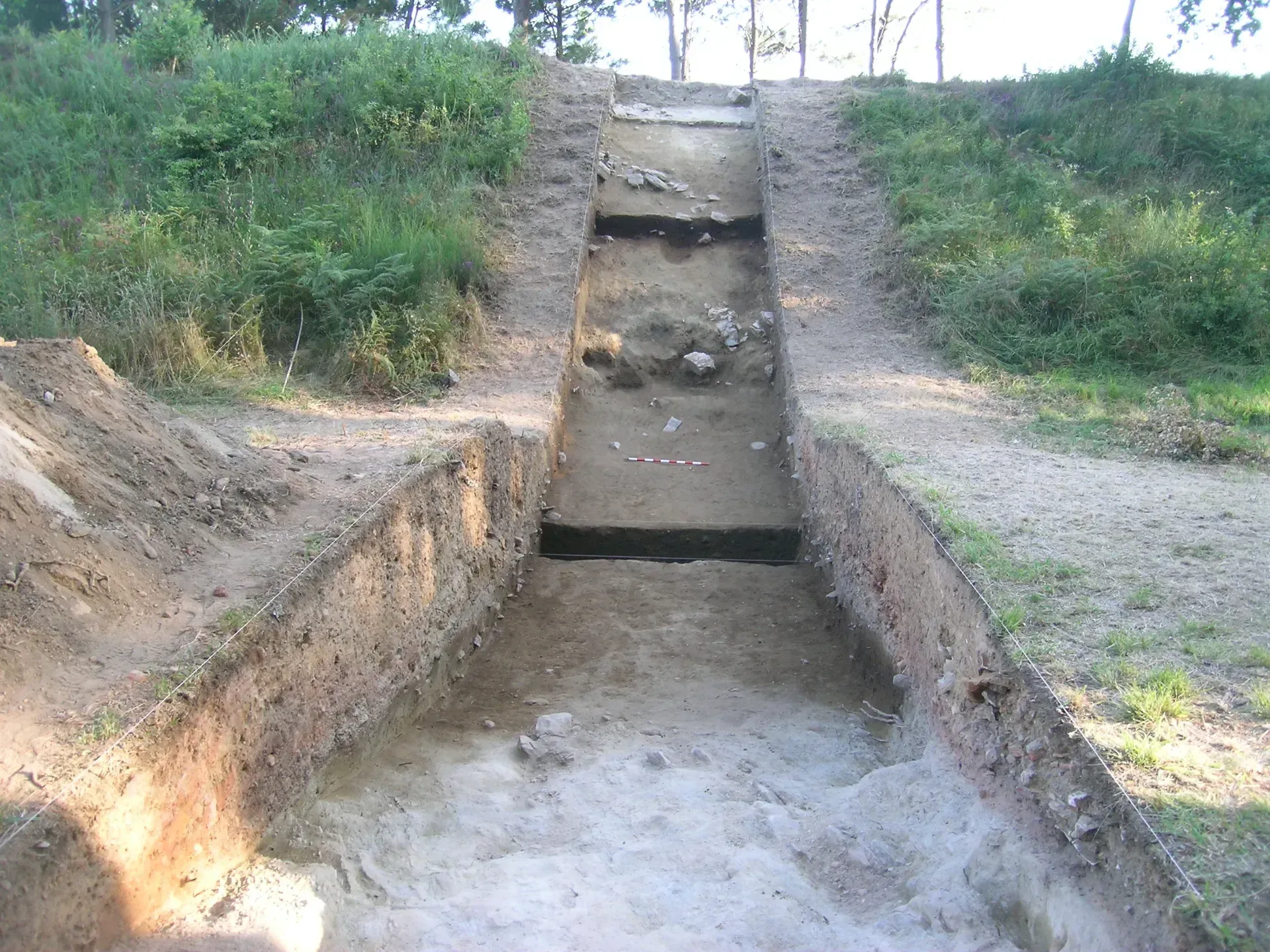 Un camino de tierra que sube una colina con árboles al fondo.