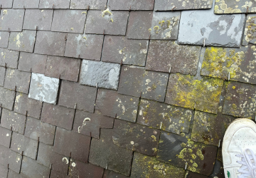 Une personne se tient debout sur un toit sur lequel pousse de la mousse.