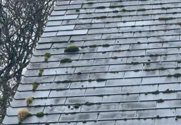 Un toit avec beaucoup de mousse qui pousse dessus