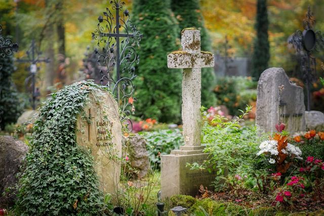 Alter Friedhof mit verwitterten Steinkreuzen und blühenden Pflanzen im sanften herbstlichen Licht.