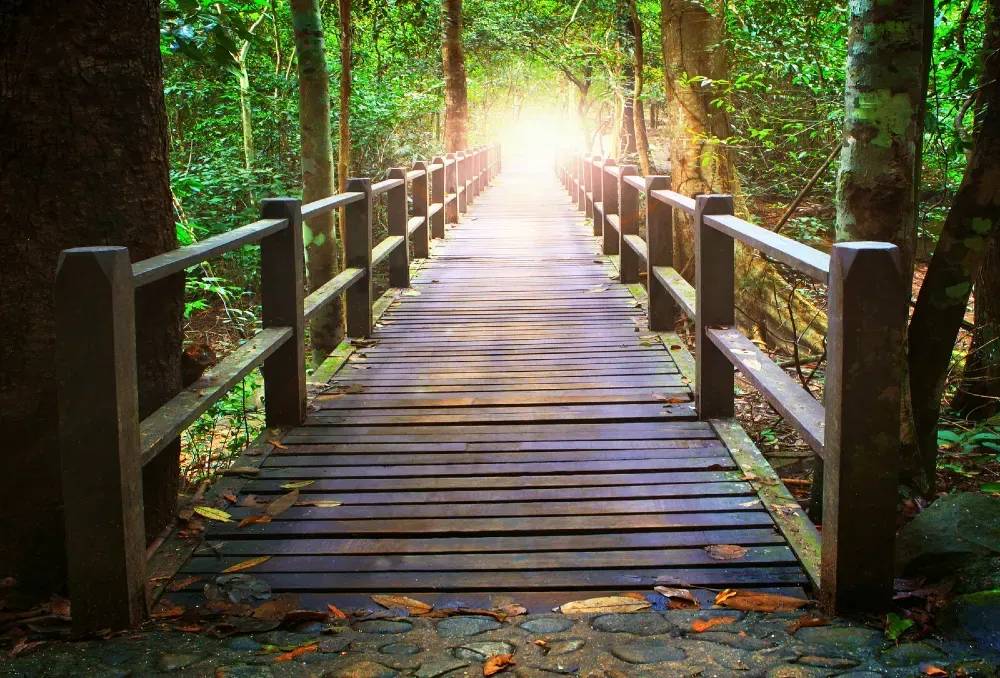 Eine Holzbrücke durch einen üppigen Wald führt zu hellem Licht.