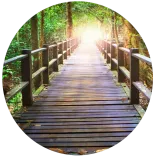 Holzbrücke in einem üppigen Wald, die in Richtung helles Licht führt. Die Brücke hat Geländer und abgenutzte Holzplanken.
