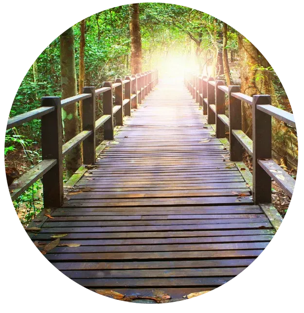 Holzbrücke in einem üppigen Wald, die in Richtung helles Licht führt. Die Brücke hat Geländer und abgenutzte Holzplanken.